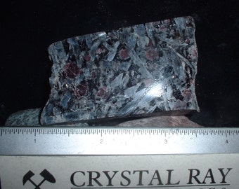 Dark Blue Kyanite & red Garnets polished one side sample a lapidary rough
