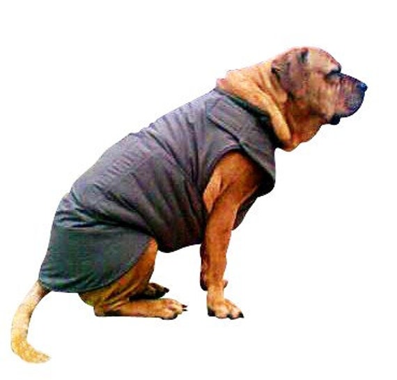Items similar to Winter Dog Coat with underbelly protection Custom