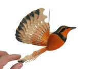 Wooden Bird, Fan Carving Mobile - Varied Thrush, House Décor, Handmade Woodworking, Folk Art Wood Carving, Wood Anniversary, Woodland Mobile Wooden Bird, Fan Carving Mobile - Varied Thrush, House Décor, Handmade Woodworking, Folk Art Wood Carving, Wood Anniversary, Woodland Mobile