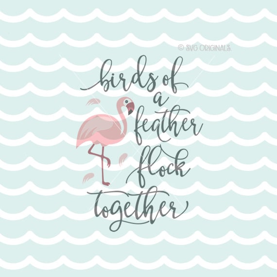 Download Birds Of A Feather Flock Together SVG Flamingo SVG Cricut