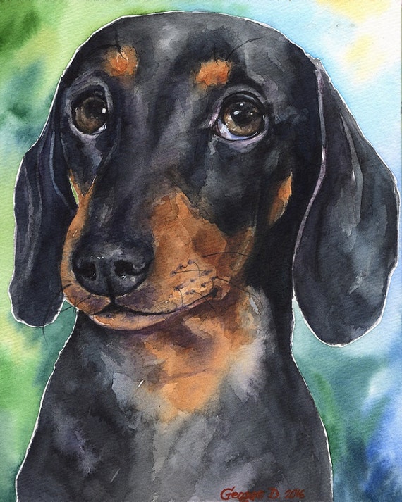 Dachshund Puppy watercolor Print of the original Painting art