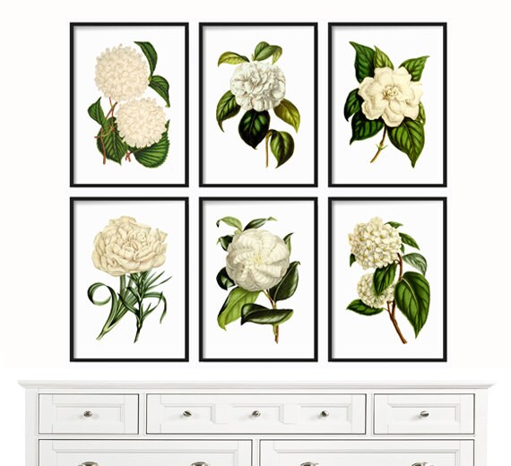 Botanical Print Set of 6 Large Prints Botanical Print