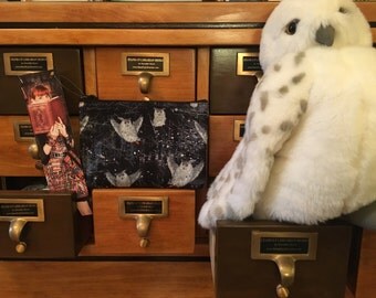 Hedwig Owl/Harry Potter cosmetic bag
