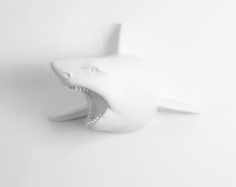 White Faux Taxidermy - The Lewie in White - White Resin Shark Head- Shark Resin White Faux Taxidermy- Chic & Trendy Fish Mount