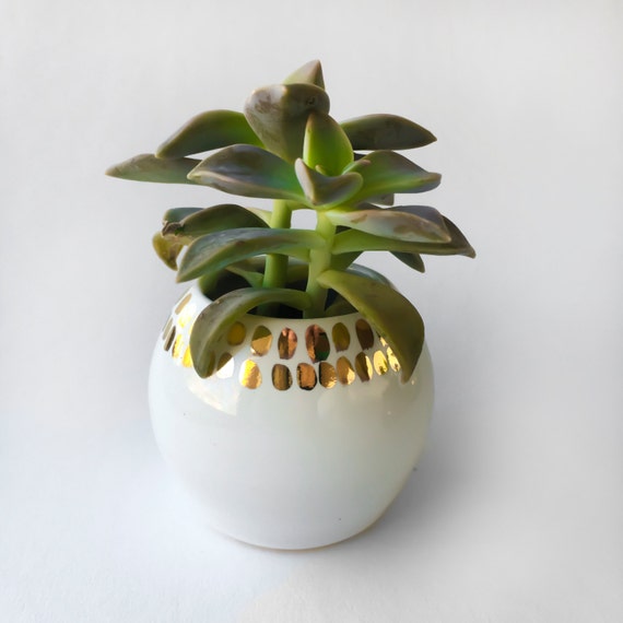 White and Gold Planter Plant Pot Modern Ceramics by ModernMud