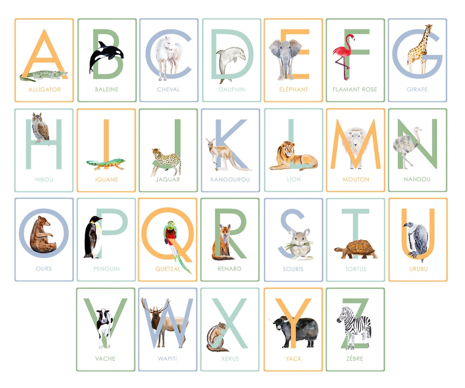 French Alphabet Children's Wall Cards Printable PDF