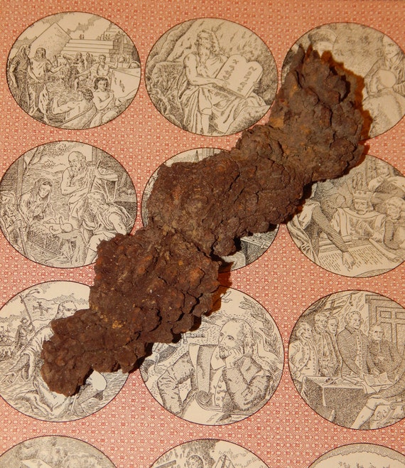 fossilized poop for sale