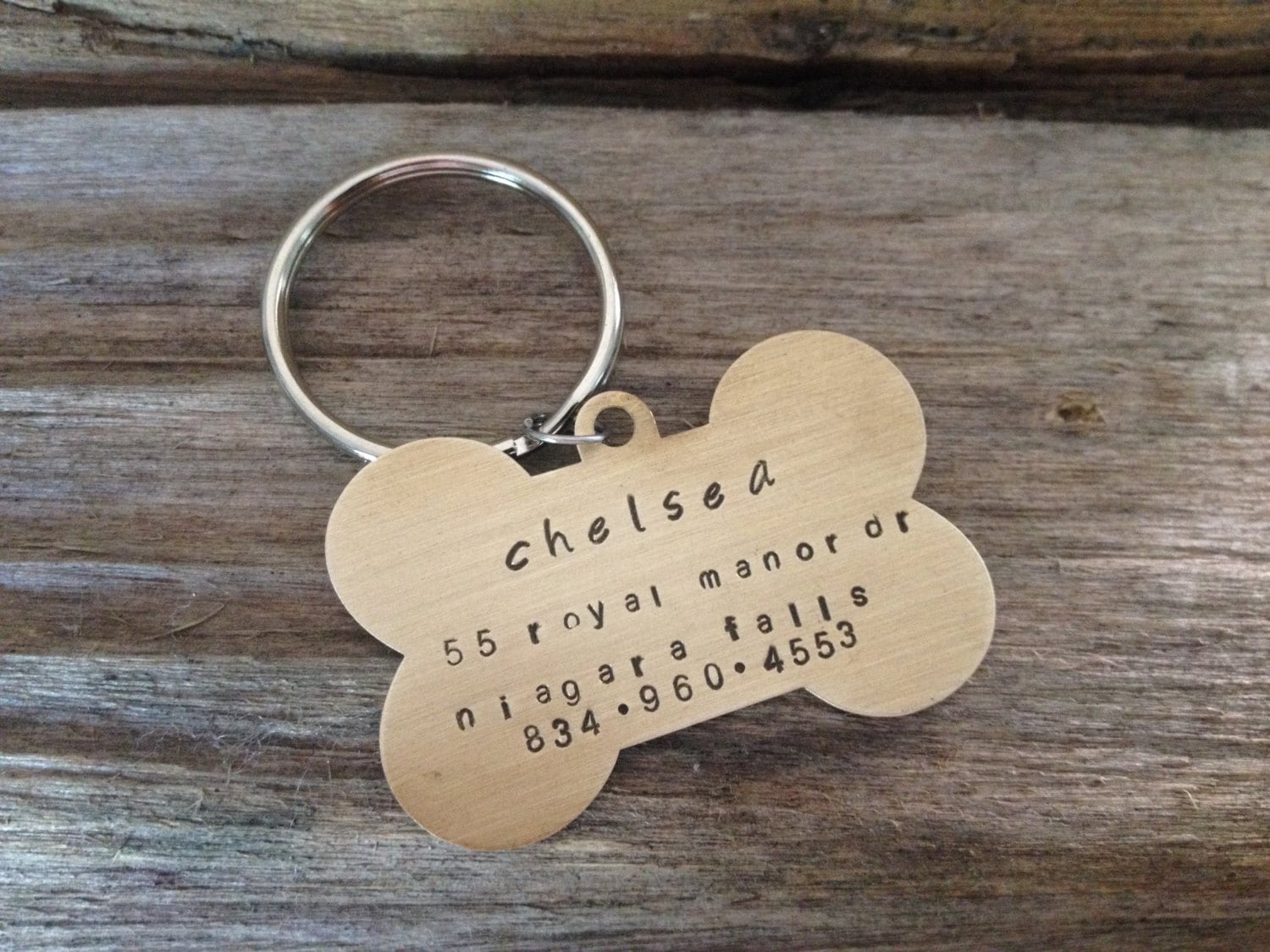 dog-id-tag-with-name-address-and-phone-number-by-janetcanstamp