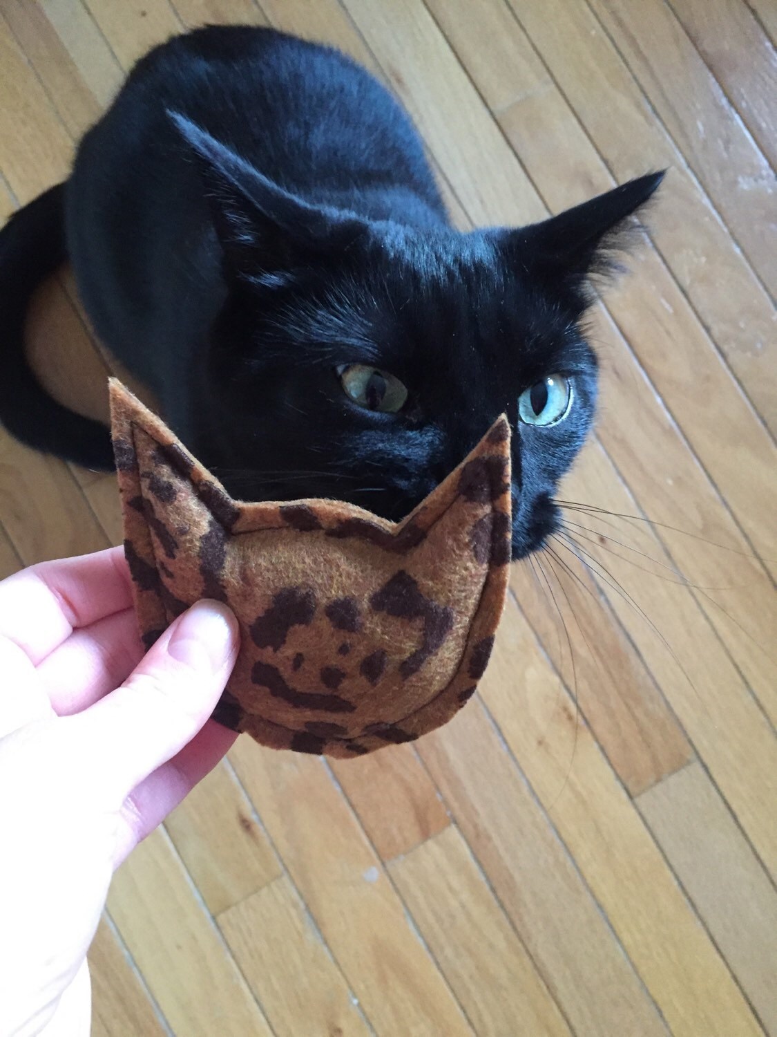 Cat Catnip Cat Toy Organic Unique Cat Nip Kitty by FurballFanatic