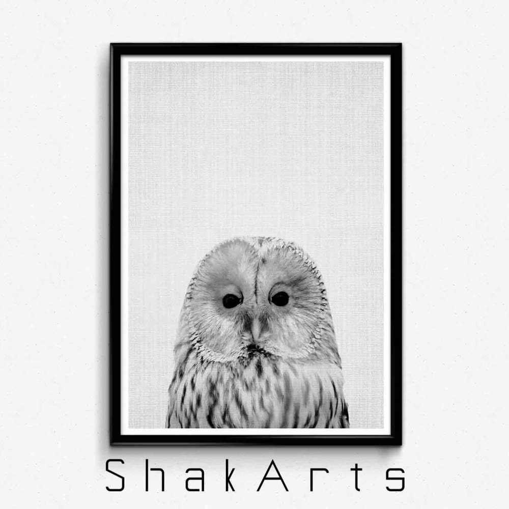 Owl Wall Art Bathroom Funny Decor Nursery Wall Art Baby