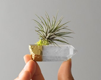 Gold Dipped Crystal Air Plant Gold Desk Accessories, Hostess Gift, Coworker Gift, Airplant, Quartz Crystal Air Planter, Boho Decor, Jungalow