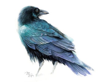 Raven Art Print - Watercolor Giclee Print. Raven Illustration, Crow, Raven. Small Gift