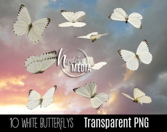 10 Transparent PNG Beautiful White Butterfly Fairytale Wings - Photoshop Photo Overlay Prop for Photographers - Instant Download