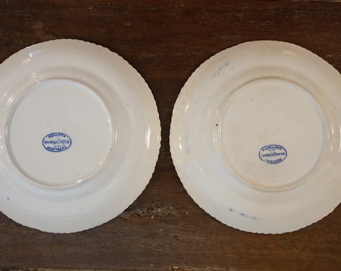 Copeland Dishes - 1890s
