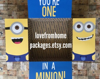 Minion Care Package Flaps