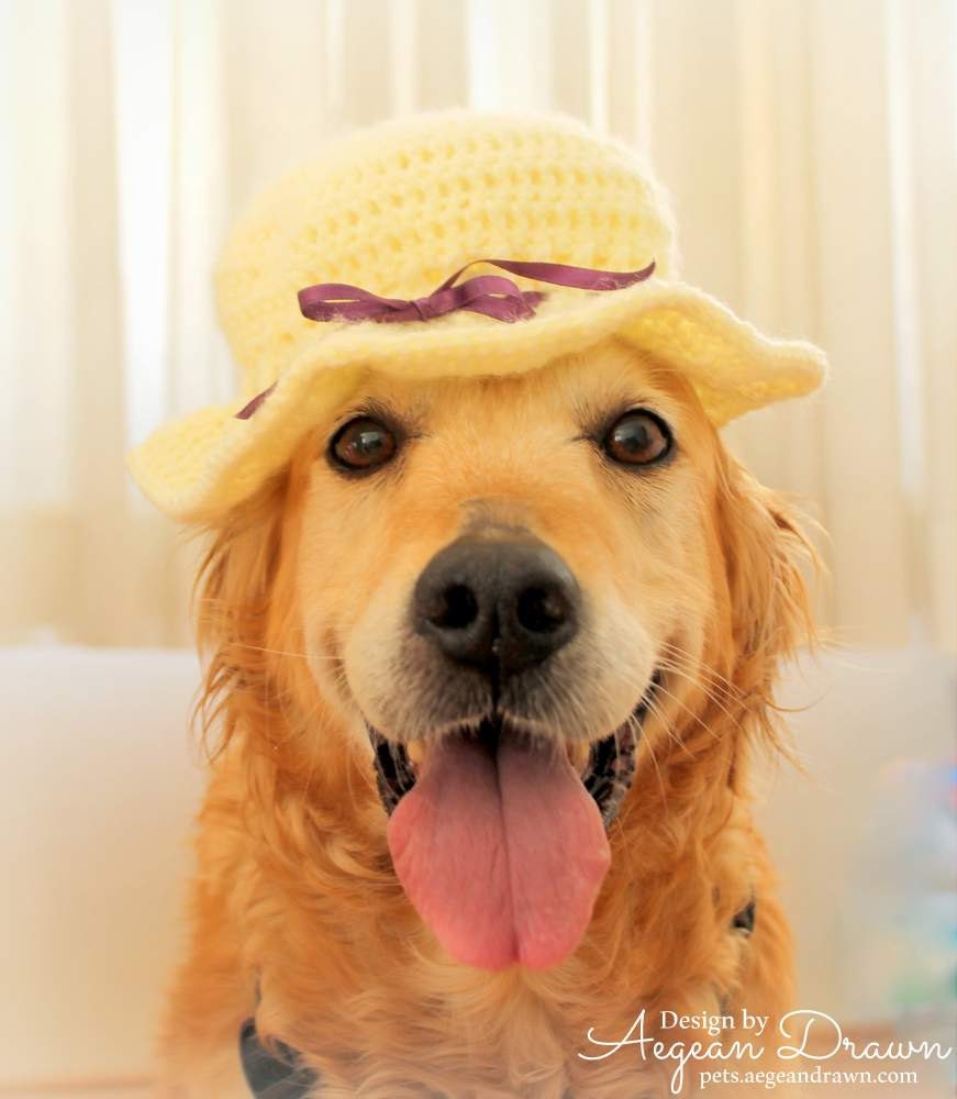Summer Hat for Dogs Sun Hat Dog Hat Summer Dog by AegeanDrawn
