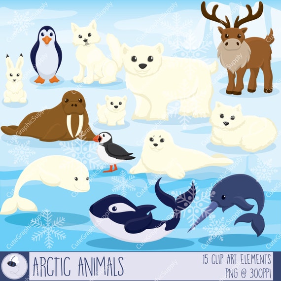 free clip art arctic animals - photo #8