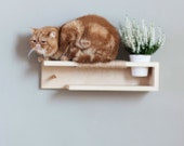 Novelty & gag gifts - Etsy