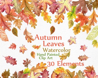 Watercolor Leaves Clipart: "AUTUMN LEAVES CLIPART" Autumn Colors leaf clip art hand painted clipart Fall Leaf Autumn Decor instant download