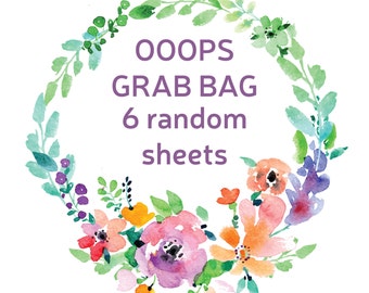 Ooops Grab Bag, Planner Stickers, Misfit Stickers, Grab Bag Stickers for Erin Condren Planner, Happy Planner Stickers, Mystery Stickers