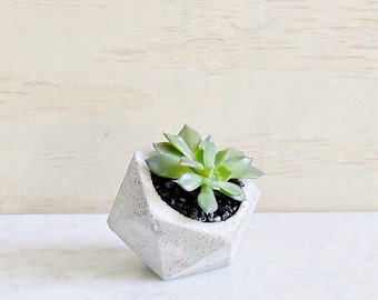 Mini Icosahedron Concrete Succulent Planter