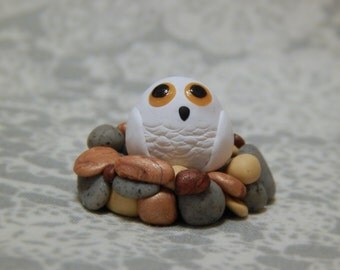 Little Snowy Owl with Nest
