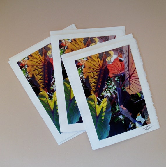 Items similar to Photo Note Card 12 on Etsy