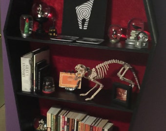 Coffin Bookshelf Local Pickup (no shipping cost)