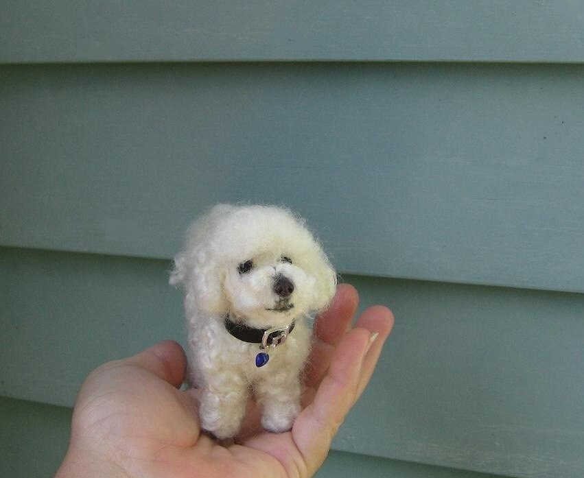 Needle Felting Dog Kit curly fur /Diy Craft Kit