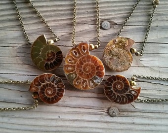ammonite fossil necklace / ammonite jewelry / ocean jewelry / ammonite necklace / ammonite pendant / HEY08Q