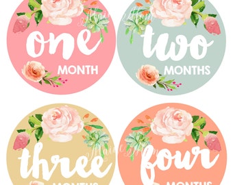FREE GIFT, 12 different colors, Baby Girl Month Stickers, Monthly Baby Stickers, Bodysuit Stickers, Floral, Flowers, Watercolor Roses