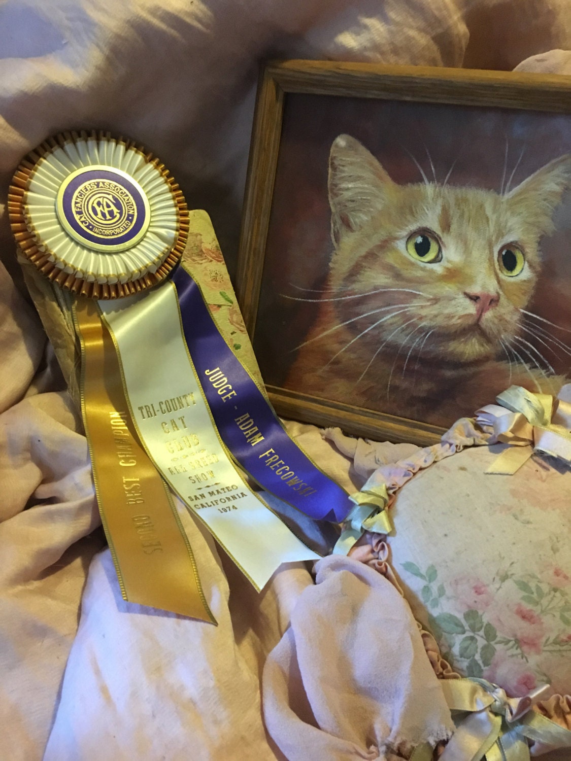 Vintage CFA CAT Show Satin Ribbon Rosette Award Second Best