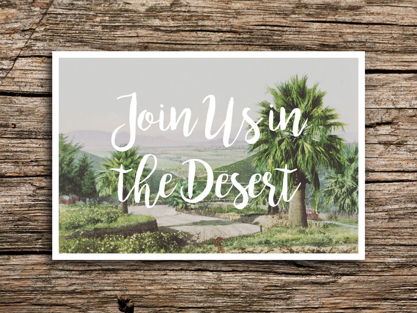 Palm Desert Postcard Save the Dates // Palm Springs Wedding