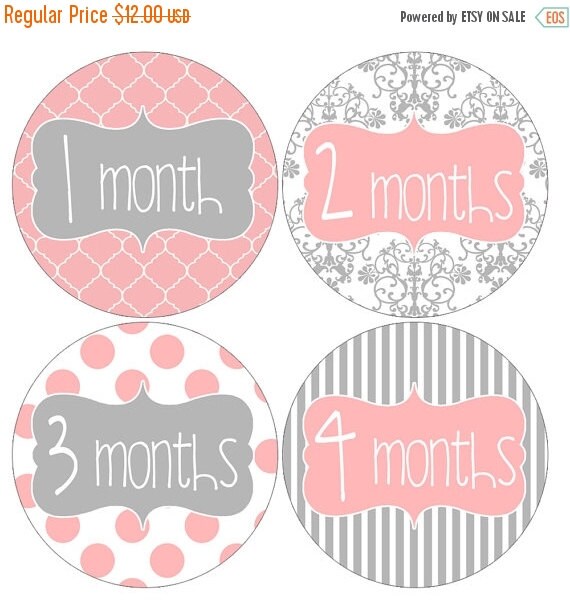 sale set of 12 round monthly stickers pink and by headsupgirlsbaby