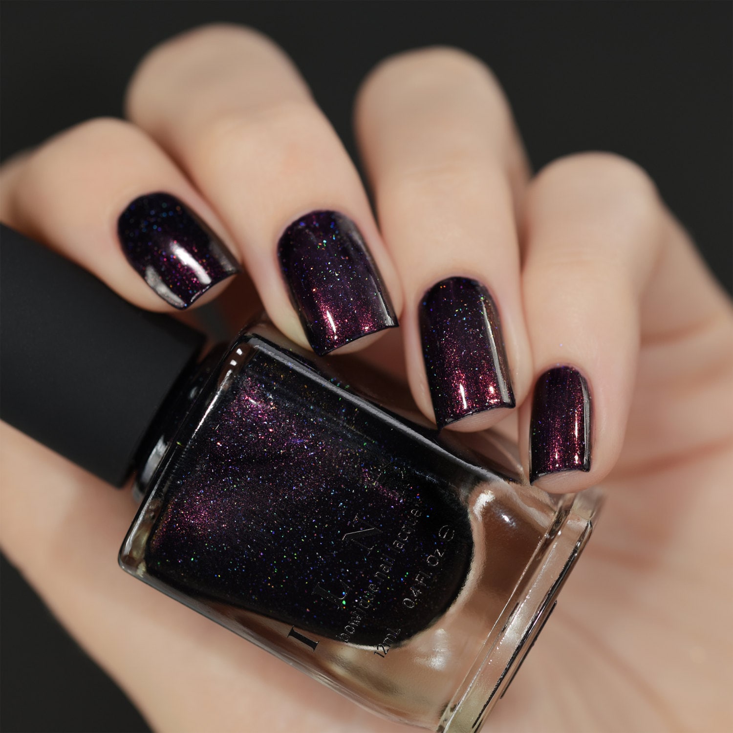 Mon Amour Dark Purple Holographic Nail Polish