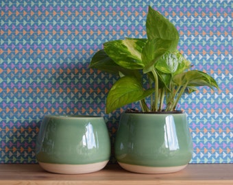 Jade Green Hanging Planter