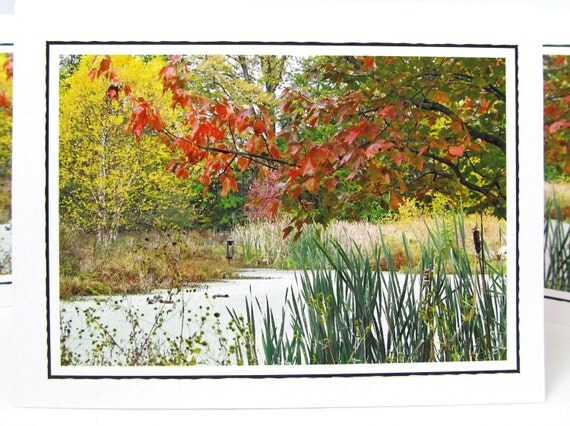 Photo Note Card Set - Set of Four Photo Cards - Autumn Pond - Set of 4 Blank Note Cards - Nature Photography - Gift Set - Bird Habitat
