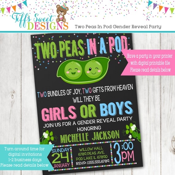 Twin Gender Reveal Party Invitations 4