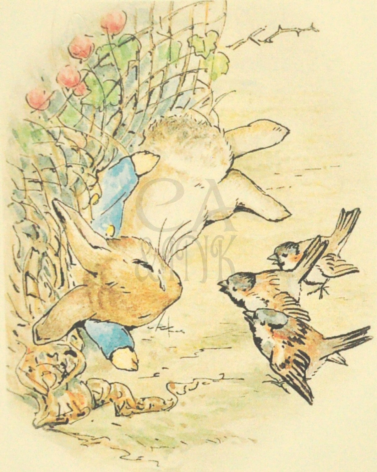 PETER RABBIT Wall Art Peter Rabbit Prints Boys Nursery