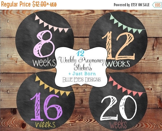 ON SALE Pregnancy StickersWeekly Pregnancy by blueeyesdesigns27
