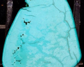 Beautiful Robin's Egg Blue Genuine Polished Waterweb Turquoise Side-Drilled Focal Bead Pendant