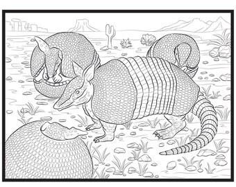 armadillo single coloring page