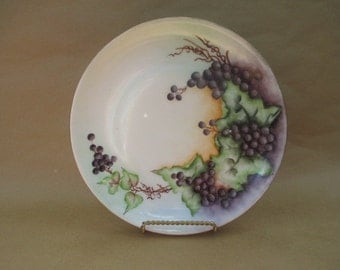 Hutschenreuther Selb Bavaria Handpainted Plate