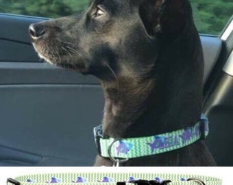 Embroidered Dog Collar