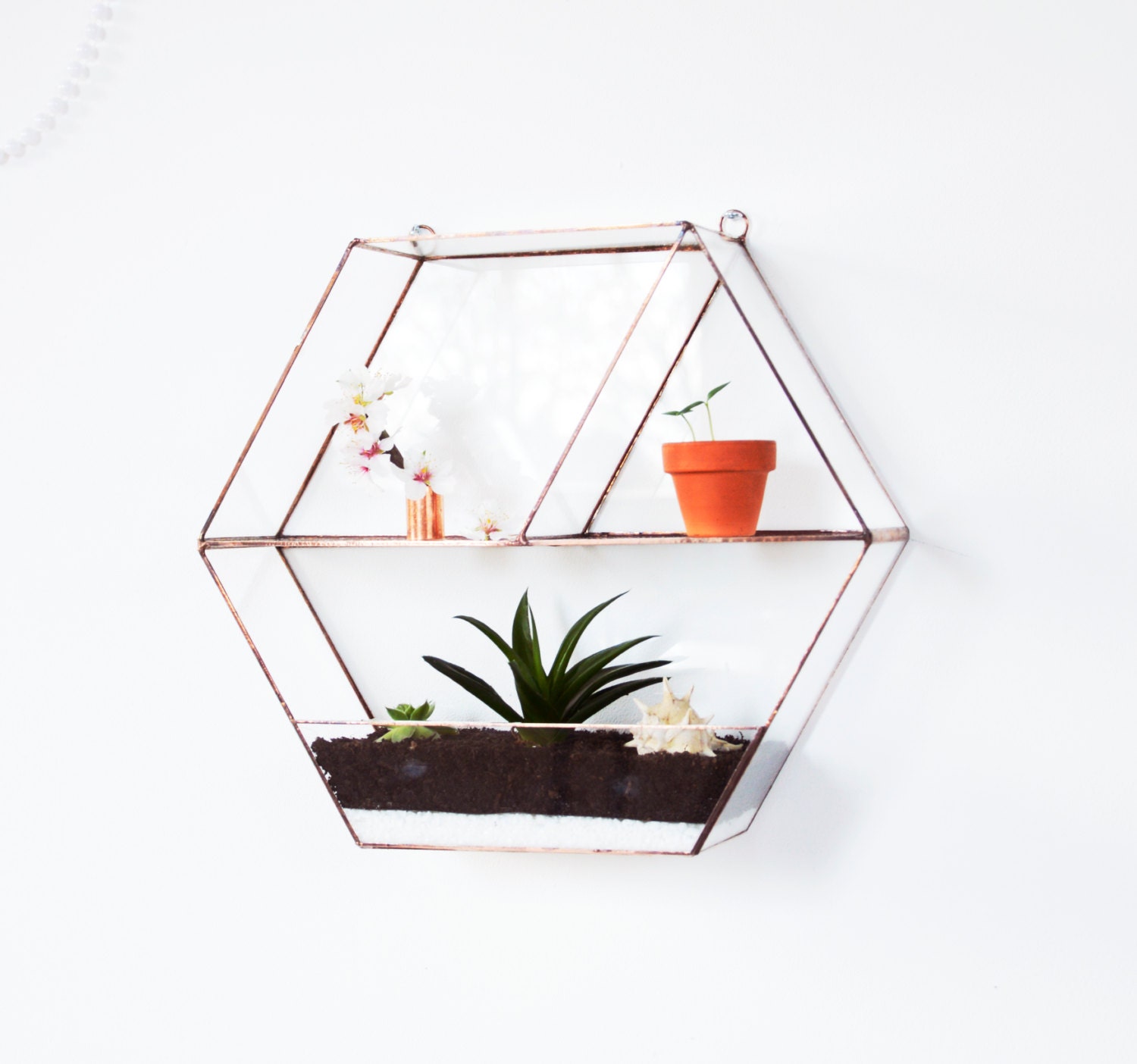 Large hanging Glass Terrarium Wall Geometric Planter