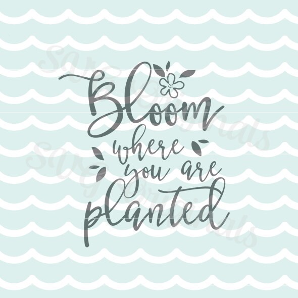 Spring Bloom Svg Bloom Where You Are Planted Svg Vector File.