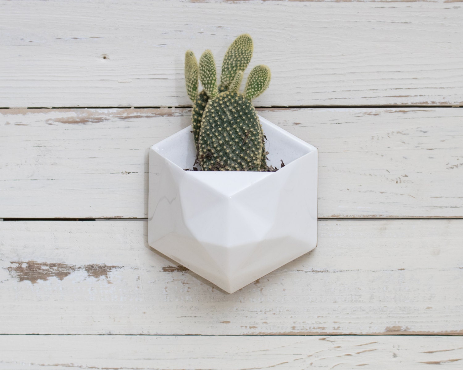 White geometric hexagon ceramic wall hanging planter with wood