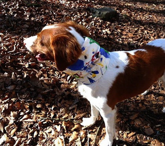 Neck protector. Pet neck gaiter. Dog neck gaiter. by ElMundodeBeto