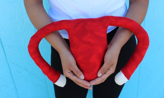 stuffed uterus pillow