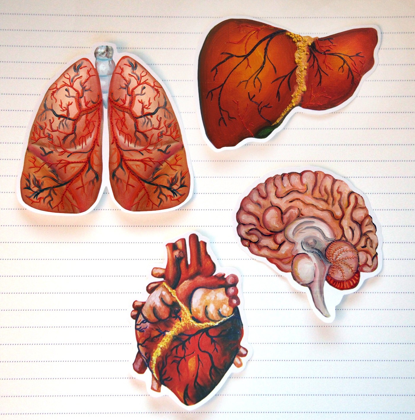Organ Stickers